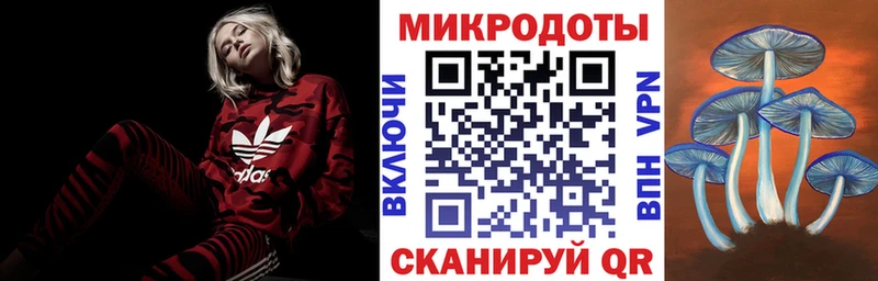 Галлюциногенные грибы GOLDEN TEACHER  ОМГ ОМГ вход  darknet официальный сайт  Кингисепп 